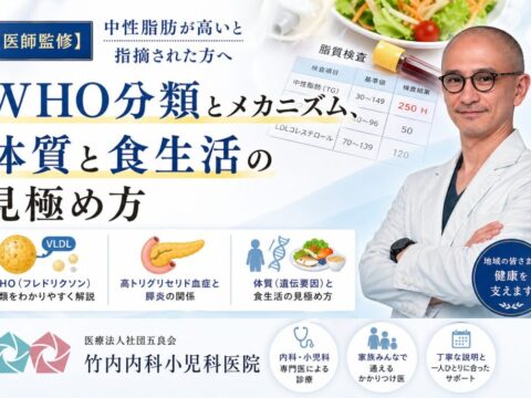 【医師監修】中性脂肪が高いと指摘された方へ｜WHO分類とメカニズム、体質と食生活の見極め方