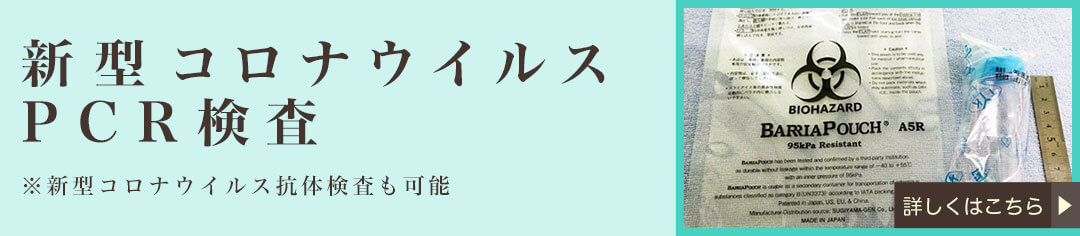 新型コロナウイルスPCR検査　※新型コロナウイルス抗体検査も可能